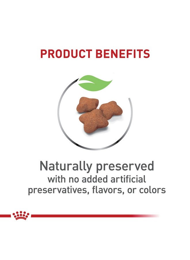 رويال كانين طعام القطط الجافة من Feline Health Nutrition للقطط المعقمة/المخصية، كيس 2.5 رطل - Image 3