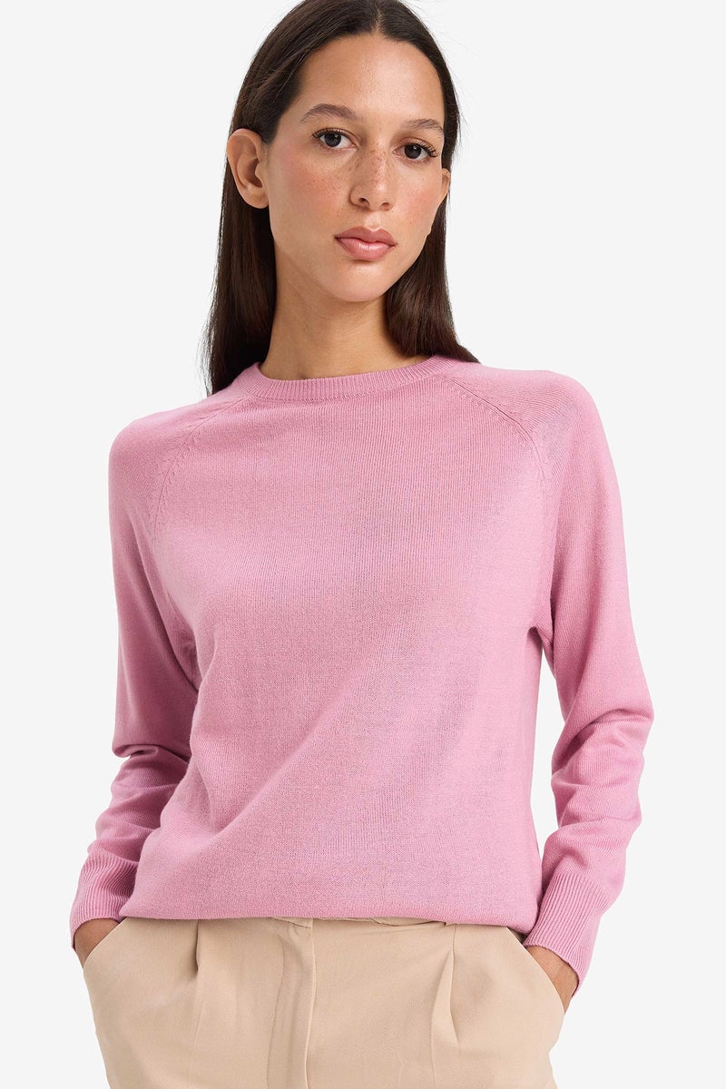 DeFacto Pink Woman Relax Fit Crew Neck Knitwear Pullover Casual - Image 1