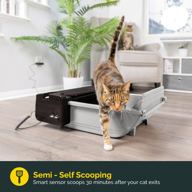Pet Zone Semi Automatic Cat Litter Box Self Cleaning - Smart Scoop Cat Litter Box with 6 Bags & Carbon Filter for Up to Two Cats 6-16 Pounds - Image 2