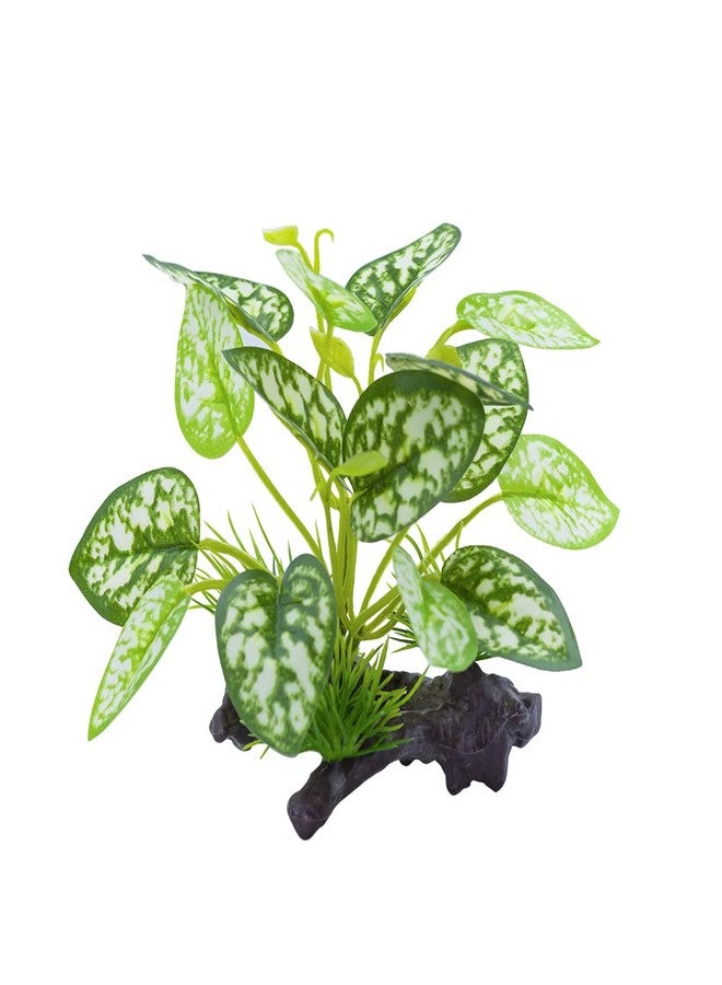 MRTIOO Reptile Artificial Plants, Terrarium Plants Decorations Supplies, Amphibian Habitat Hideout Tank Accessories, Rainforest Ground Plant - Image 5