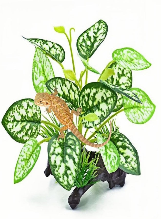 MRTIOO Reptile Artificial Plants, Terrarium Plants Decorations Supplies, Amphibian Habitat Hideout Tank Accessories, Rainforest Ground Plant - Image 1