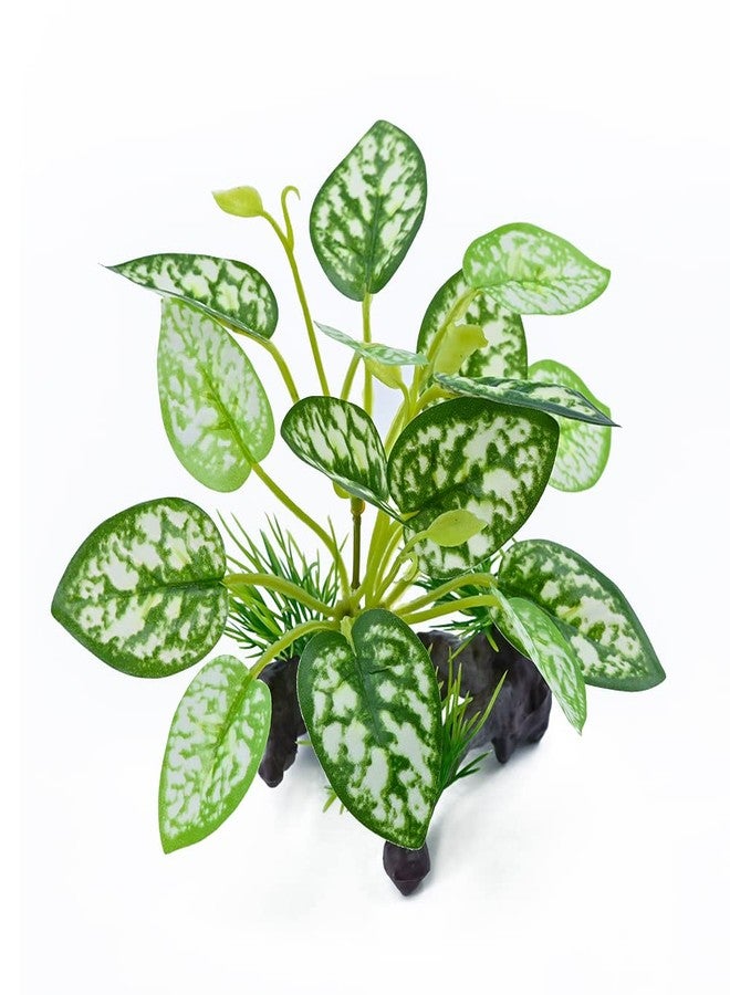 MRTIOO Reptile Artificial Plants, Terrarium Plants Decorations Supplies, Amphibian Habitat Hideout Tank Accessories, Rainforest Ground Plant - Image 3