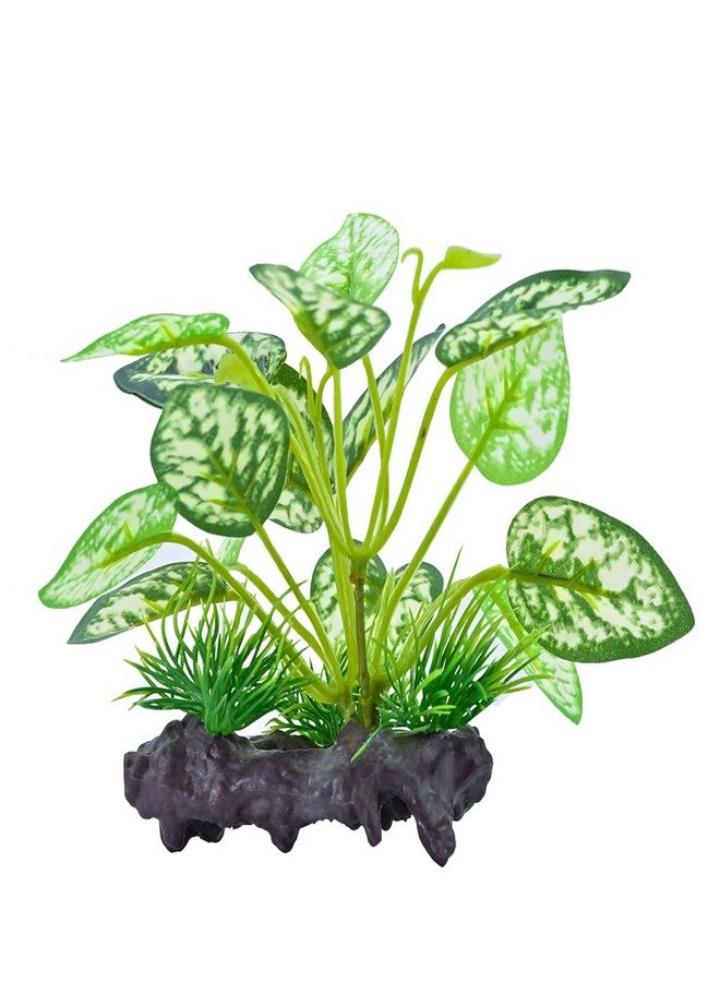 MRTIOO Reptile Artificial Plants, Terrarium Plants Decorations Supplies, Amphibian Habitat Hideout Tank Accessories, Rainforest Ground Plant - Image 4