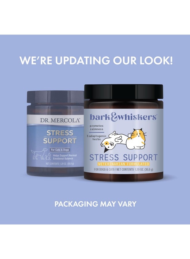 Dr. Mercola Bark & Whiskers Stress Support for Dogs & Cats, 1.29 Oz. (36.8 g), 5 Adaptogenic Herbs, Promotes Calmness, Veterinarian Formulated, Non-GMO, Dr. Mercola - Image 2