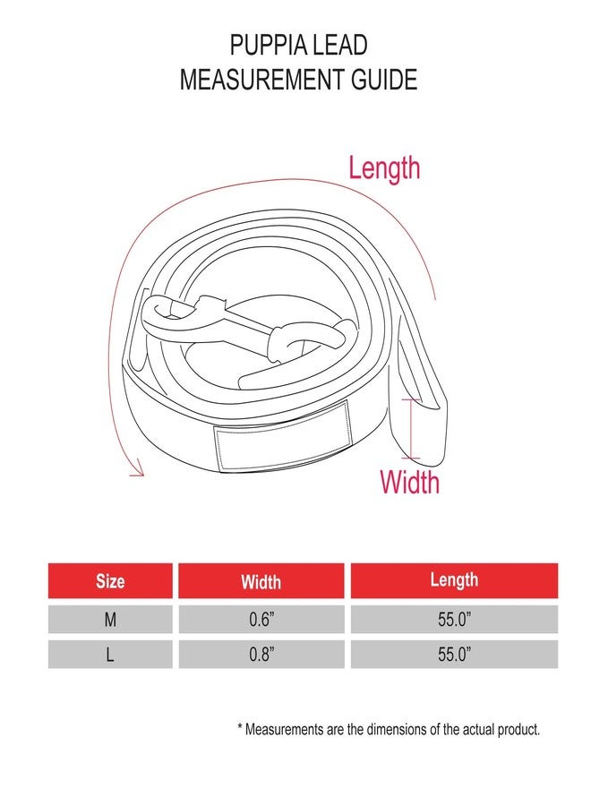 بوبيا طوق كلاب أنيق من بوبيا، ربيعي وصيفي، وردي_جايلين، متوسط - Image 2