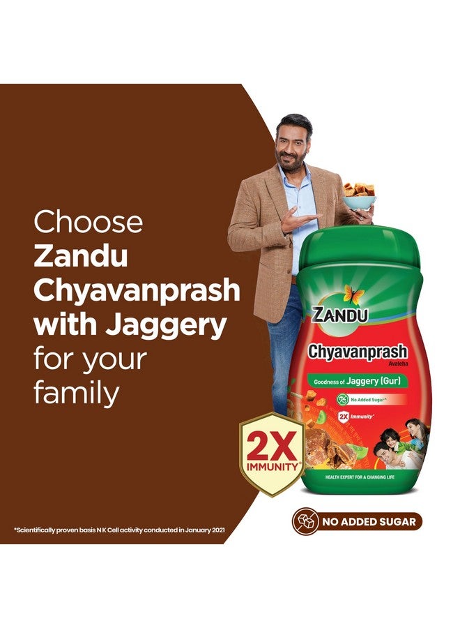 Zandu زاندو شيفانابراش أفاليها جاجري (غور)، معزز مناعي أيورفيدي، يوفر الفيتامينات والميكرو-مغذيات، يساعد في تحسين صحة الجهاز التنفسي، 900غ - Image 4