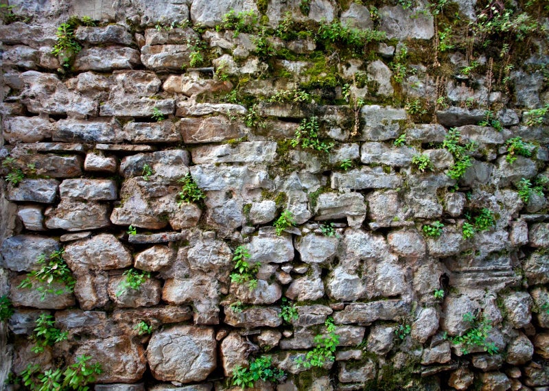 BELECO 7x5ft Fabric Vintage Brick Stone Wall Backdrop for Photography Overgrown Wall Ancient Rock Wall Textured Background Medieval Castle Stone Wall for Party Decorations Studio Booth Photo Props - Image 2