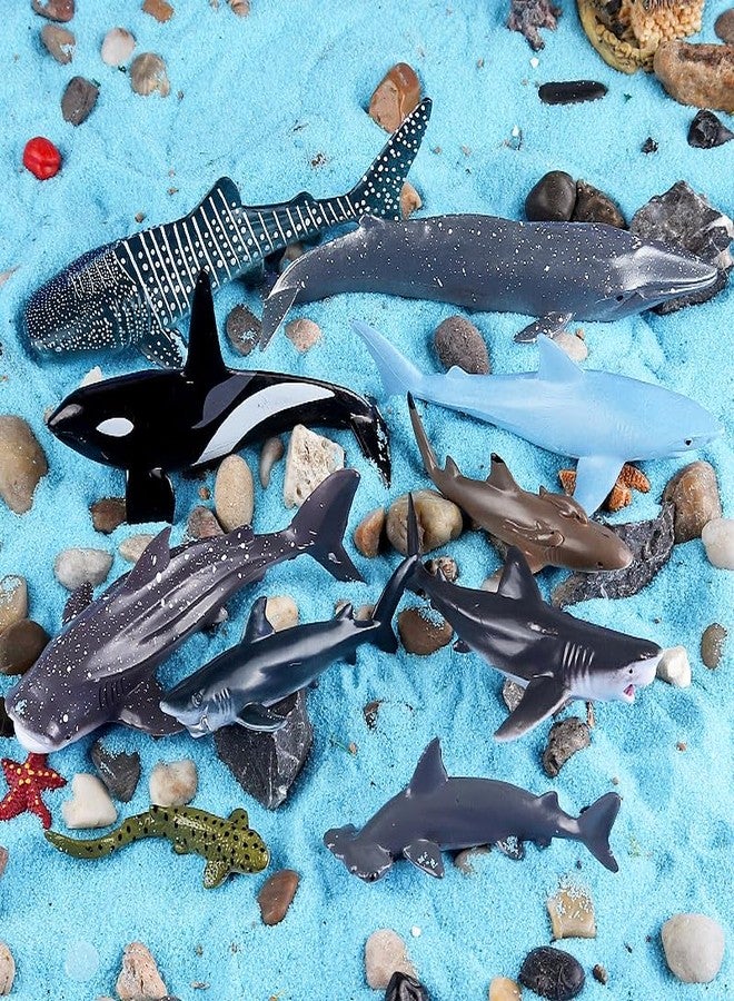 SCAHOW 10pcs Sea Animal Figures, Realistic Small Ocean Animal Toys Set with Whale Shark Octpus - Image 3