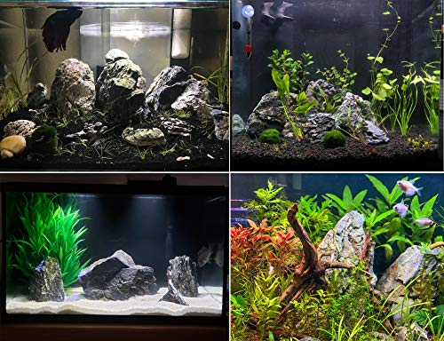Voulosimi 12 lb Seiryu Rock Stone for Aquariums, Landscaping Model,Tank Decoration - Image 4