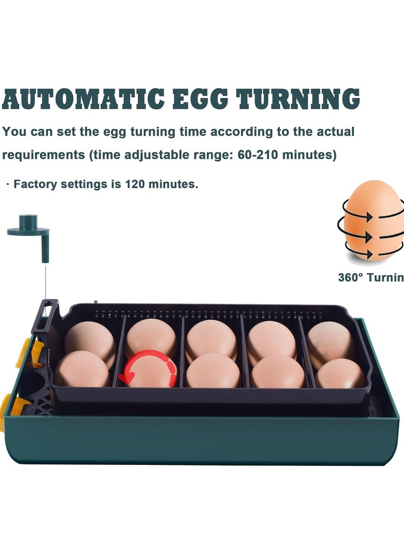 SYOSI - Egg Incubator, Incubators for 10 Hatching Eggs, With Automatic Egg Turning, Humidity and Temperature Control, Come with Egg Candler Incubator for Chicken Eggs Quail Duck, with LED light - Image 1