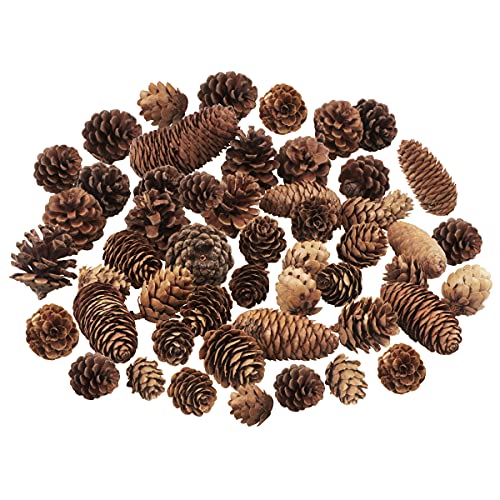Jangostor 40 PCS Rustic Pine Cone Decorations - Large, Medium and Mini Sizes for Table, Tree and Home Decor - Image 1
