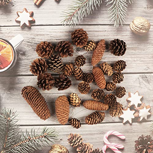 Jangostor 40 PCS Rustic Pine Cone Decorations - Large, Medium and Mini Sizes for Table, Tree and Home Decor - Image 5