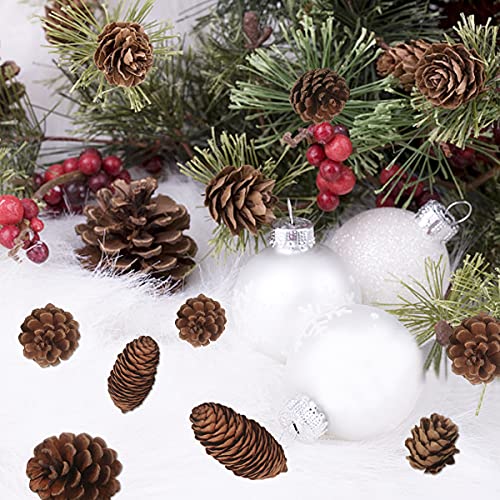 Jangostor 40 PCS Rustic Pine Cone Decorations - Large, Medium and Mini Sizes for Table, Tree and Home Decor - Image 2