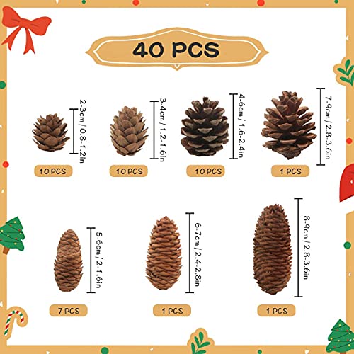 Jangostor 40 PCS Rustic Pine Cone Decorations - Large, Medium and Mini Sizes for Table, Tree and Home Decor - Image 3