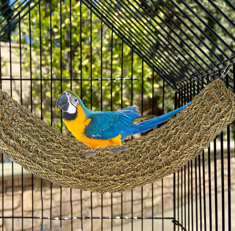 SIMENA Seagrass Mat for Birds, Natural Grass Woven Bird Net Hammock, Climbing Rope Ladder, Chew Toys for Parrots Lovebirds Cockatiels Conures Budgies, Cockatoos (Small) - Image 3