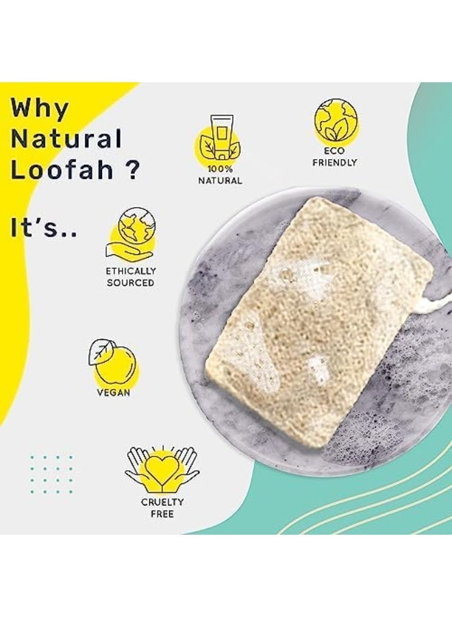 awenest 100% Natural Sun-Dried Loofah | Organic Bath Scrubber for Women & Men | Gentle Exfoliating Body Scrub Sponge | Eco-Friendly, Biodegradable Body Brush | Removes Dead Skin | Pack of 3 - Image 2
