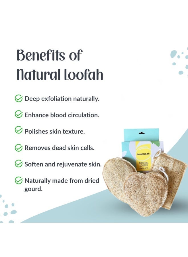 awenest 100% Natural Sun-Dried Loofah | Organic Bath Scrubber for Women & Men | Gentle Exfoliating Body Scrub Sponge | Eco-Friendly, Biodegradable Body Brush | Removes Dead Skin | Pack of 3 - Image 3