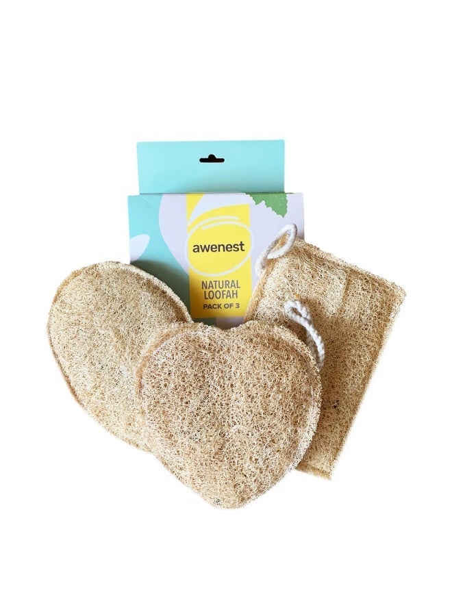 awenest 100% Natural Sun-Dried Loofah | Organic Bath Scrubber for Women & Men | Gentle Exfoliating Body Scrub Sponge | Eco-Friendly, Biodegradable Body Brush | Removes Dead Skin | Pack of 3 - Image 1