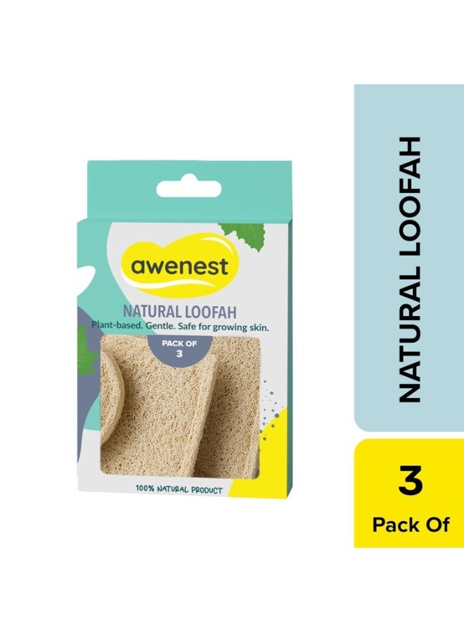 awenest 100% Natural Sun-Dried Loofah | Organic Bath Scrubber for Women & Men | Gentle Exfoliating Body Scrub Sponge | Eco-Friendly, Biodegradable Body Brush | Removes Dead Skin | Pack of 3 - Image 4