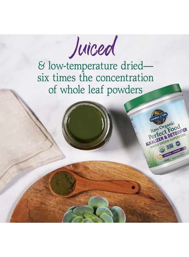Garden of Life Raw Organic Perfect Food Alkalizer & Detoxifier Juiced Greens Superfood Powder - Lemon Ginger, 30 Servings - Non-GMO, Gluten Free Whole Food Dietary Supplement, Plus Probiotics - Image 3