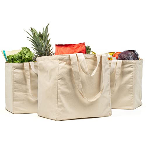 VeraMia 3pc Canvas Grocery Bags with Pockets Shoulder Straps  Foldable Washable Heavy Duty Tote