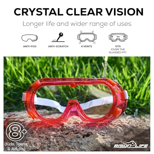 BISON LIFE Safety Glasses for Kids 12 Pack | ANSI Z87 Impact and Scratch Resistant, Clear Lens Assorted Color Temples, Child Youth Size Science Glasses Variety Pack - Image 2