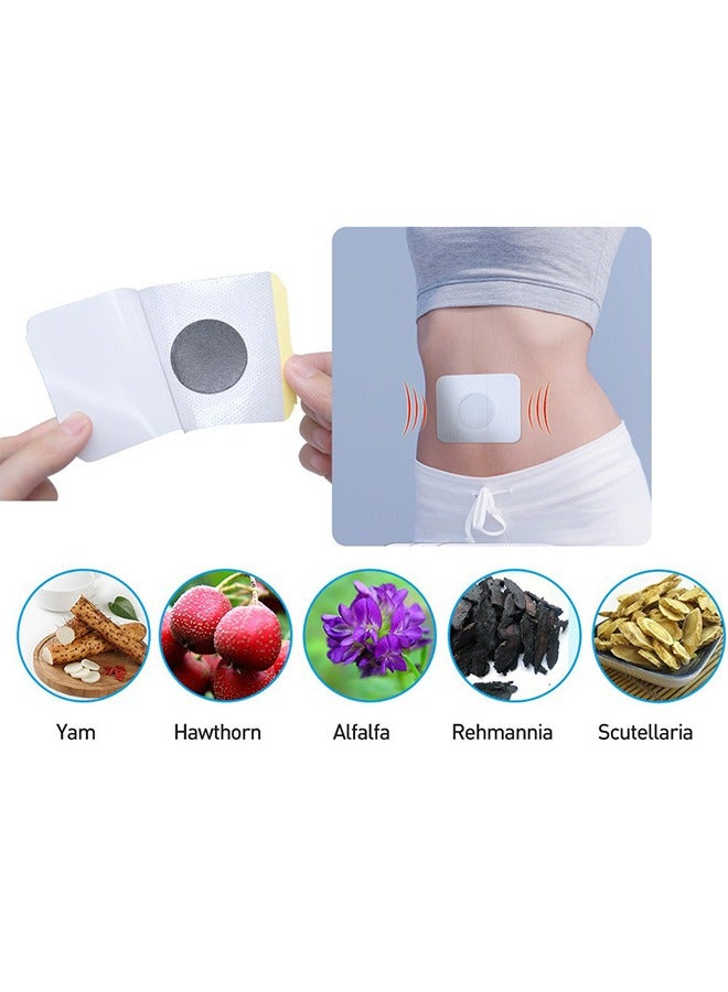 Sumifun Diabetic Patch- Health Care Paste,Reduce Blood Sugar,Herbal Treatment,Focus On Regulating Blood Circulation And Balancing Organ System To Improve Pancreatic Function 6PCS  - Image 2