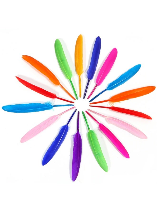 Mixed Color DIY Feather Colorful Small Straight Knife Goose Feather Clothing Craft Decoration Feather 240 Piece Set Handmade Materials - Image 3