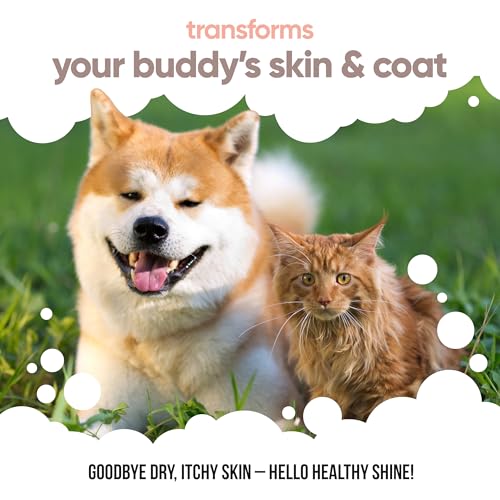 Buddycare Scottish Salmon Oil for Dogs and Cats (16.90 fl.oz) 100% Natural & Sustainable Supplement | Rich in Omega 3, 6 & 9 for Boosting the Health & Vitality of your Pet’s Skin, Coat & Immune System - Image 5