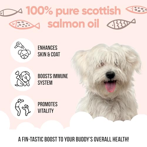 Buddycare Scottish Salmon Oil for Dogs and Cats (16.90 fl.oz) 100% Natural & Sustainable Supplement | Rich in Omega 3, 6 & 9 for Boosting the Health & Vitality of your Pet’s Skin, Coat & Immune System - Image 3
