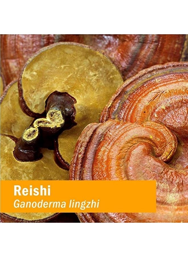 HERB PHARM Reishi Mushroom Liquid Extract Drops Immune System Builder, 4 Oz - Image 2