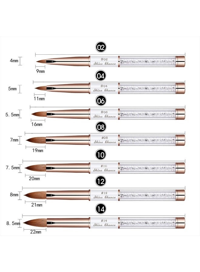 Shine Chance Acrylic Nail Brush Size 12, 100% Real Kolinsky Art Nail Brush for Acrylic Powder Application, Handmade Women Manicure Nail Extension Tool for Professional DIY Home Salon and Beginners - Image 3