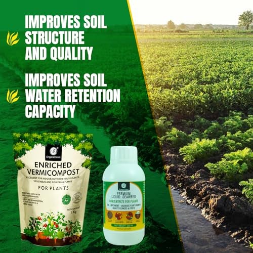 OrganicDews Enriched Vermicompost 1 Kg + Liquid Seaweed Fertilizer 250 ml Bio Stimulant - Plant Growth Enhancer, Soil Conditioner for Indoor & Outdoor - Image 2