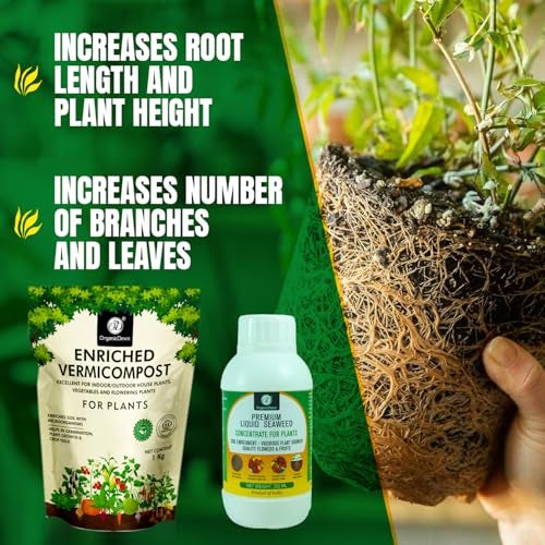 OrganicDews Enriched Vermicompost 1 Kg + Liquid Seaweed Fertilizer 250 ml Bio Stimulant - Plant Growth Enhancer, Soil Conditioner for Indoor & Outdoor - Image 4