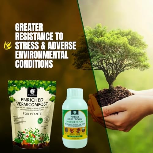OrganicDews Enriched Vermicompost 1 Kg + Liquid Seaweed Fertilizer 250 ml Bio Stimulant - Plant Growth Enhancer, Soil Conditioner for Indoor & Outdoor - Image 5