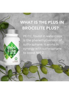 BrocElite Plus ; Broccoli Supplement W/Stabilized Sulforaphane Extract ; Zero Glyphosate Residue ; 30 Vegetable Capsules  - Image 4