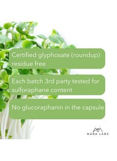 BrocElite Plus ; Broccoli Supplement W/Stabilized Sulforaphane Extract ; Zero Glyphosate Residue ; 30 Vegetable Capsules  - Image 2