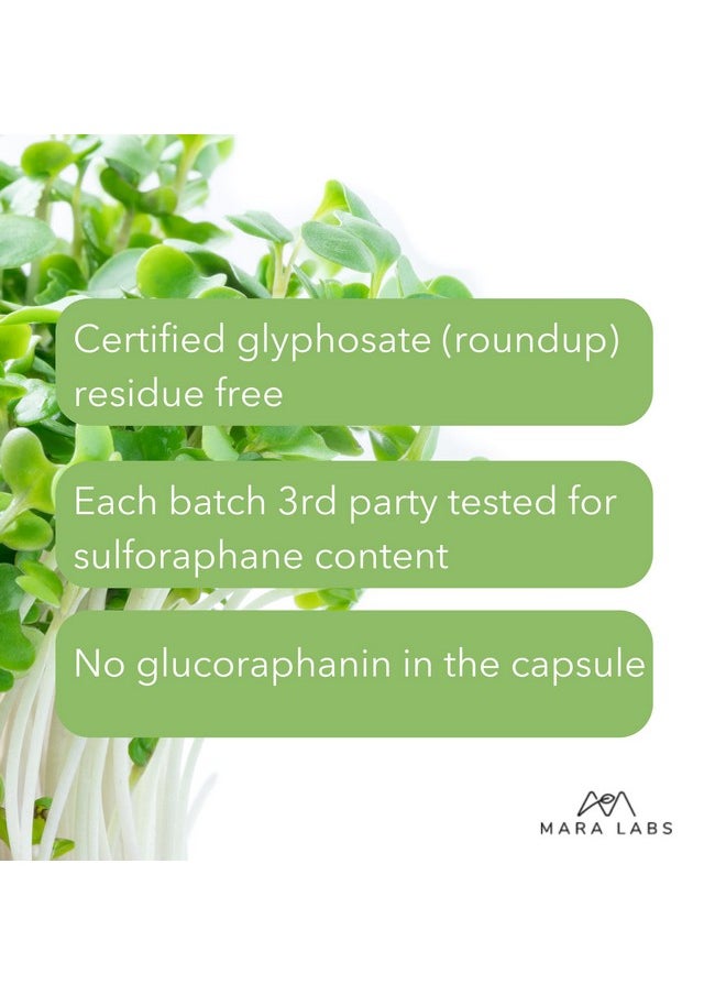 BrocElite - Plus ; Broccoli Supplement W/Stabilized Sulforaphane Extract ; Zero Glyphosate Residue ; 30 Vegetable Capsules - Image 1