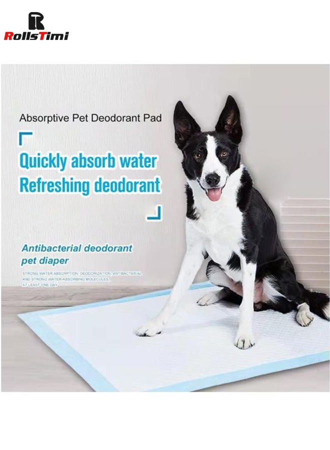 RollsTimi  60*60cm Puppy Training Pads Diaper Mats For Younger Pets Dog And Cat Pee Diaper With Heavy Duty Absorbency 40PCS - Image 2