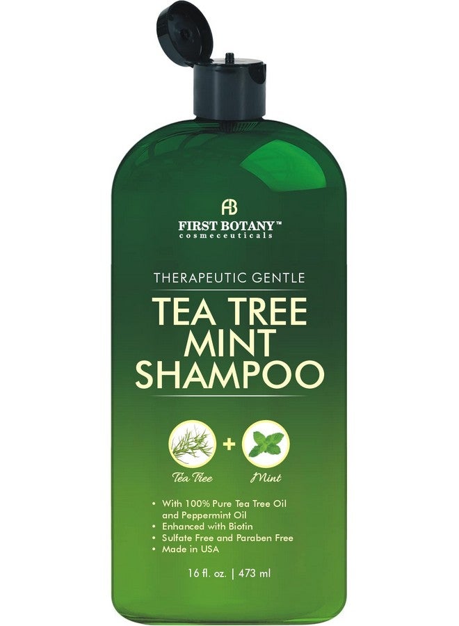 First Botany, Tea Tree Oil Shampoo 16 fl oz - Anti Dandruff Shampoo Natural Oil cleanser For Dry Itchy & Flaky Scalp - Sulfate Free Paraben Free Cleanser - Prevents Head Lice & Thinning - Image 1