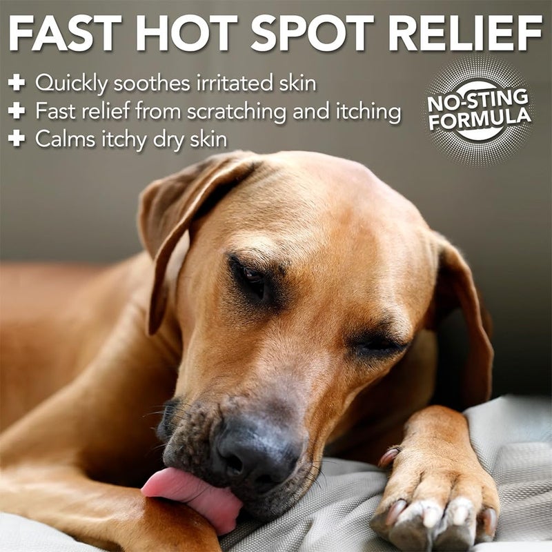 Vet's Best Dog Hot Spot Itch Relief Spray for Dogs, Dog Hot Spot Spray, Relieves Dry Skin, Rash, Scratching, and Licking, Itchy Skin & Hot Spots, anti-itch spray for dogs, Alcohol-Free, 16 oz - Image 2