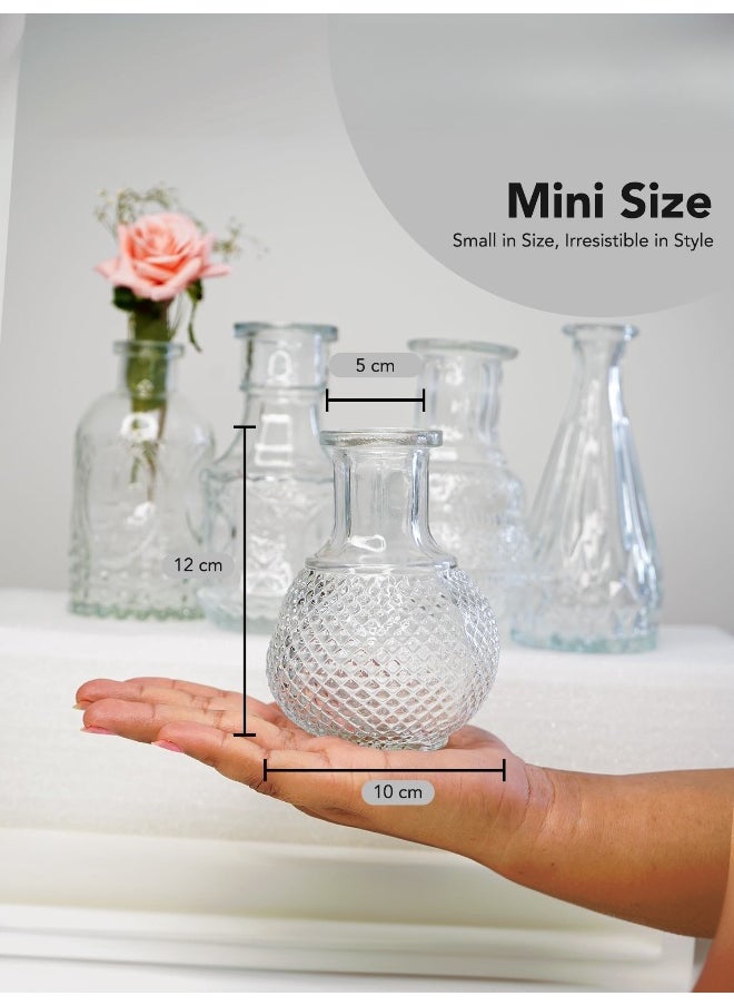 Crystal Clear Glass Bud Vases Flower Pots for Home Decoration (Set of 5) - pzsku/ZDA1CCB3EAAF706959870Z/45/_/1735648411/1428ccb0-8fe4-4993-9ea3-87d37b2c8fb2