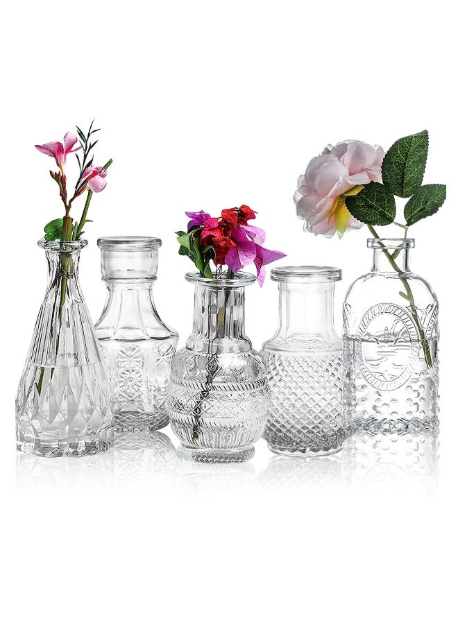 Crystal Clear Glass Bud Vases Flower Pots for Home Decoration (Set of 5) - pzsku/ZDA1CCB3EAAF706959870Z/45/_/1735648411/28b11a49-b068-4ee0-96c9-5890b6fbab47