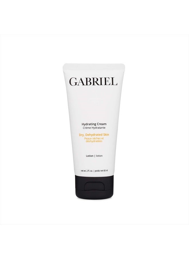 Gabriel Cosmetics كريم ترطيب غابرييل، مرطب، طبيعي بالكامل، خالي من البارابين، 2 أونصة سائلة. - Image 1