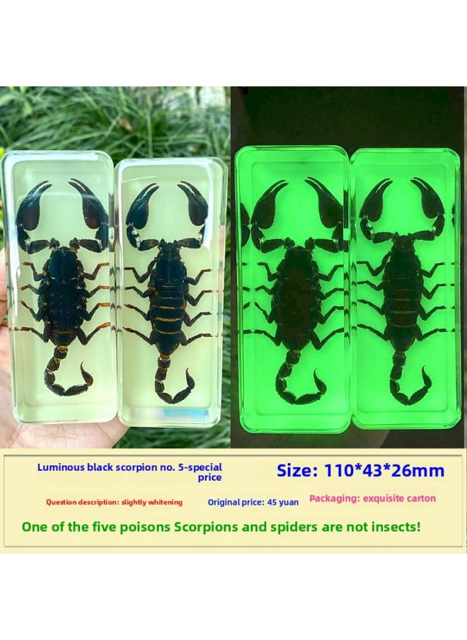 Insect Specimen Real Mono Fairy Amber Scarab Book Town Home Desk Decoration Mantis Spider Scorpion Factory-Color:Rainforest Black Scorpion 5 Luminous  - Image 1
