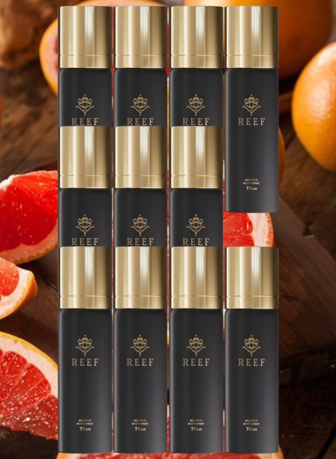 ريف 11 قطع بخاخ جسم تايتن 125مل - Image 1