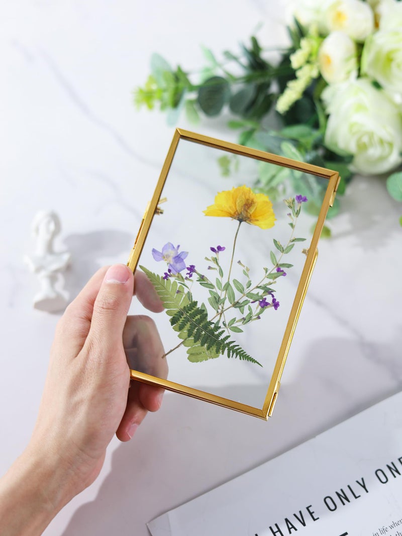 REDHUGO Glass Pressed Flower Frame Handmade, Floating Picture Frames for Pressed Flowers, Tabletop Artwork Photo Frames, Brass Desk Picture Frame for Home Office Plant Specimen, Gold, 4x6 Inches - Image 2