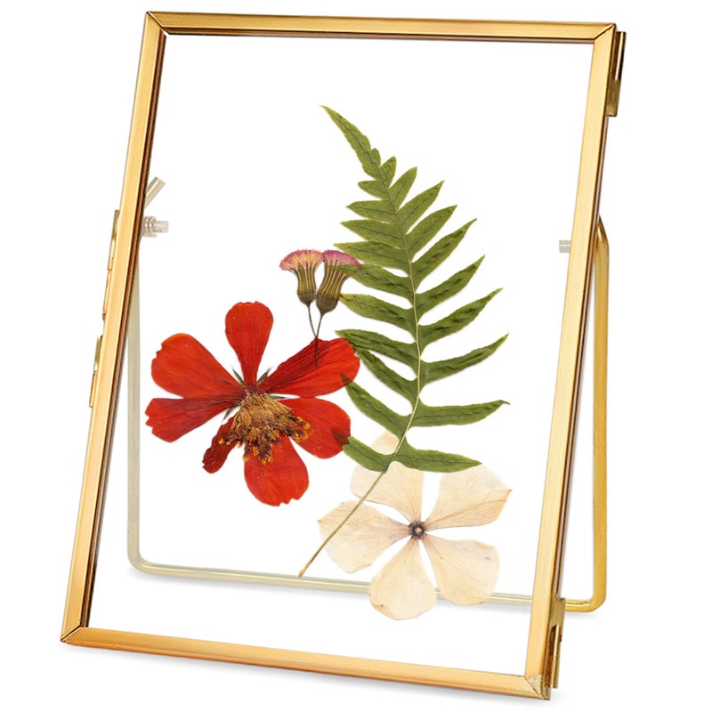 REDHUGO Glass Pressed Flower Frame Handmade, Floating Picture Frames for Pressed Flowers, Tabletop Artwork Photo Frames, Brass Desk Picture Frame for Home Office Plant Specimen, Gold, 4x6 Inches - Image 1