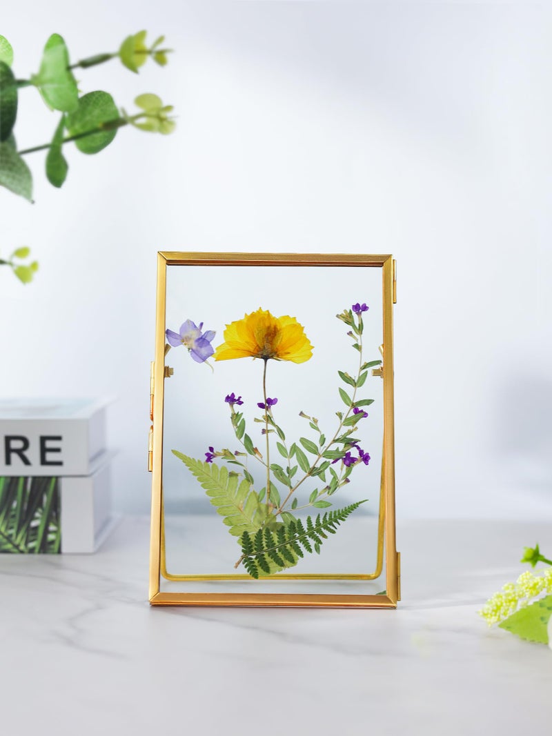REDHUGO Glass Pressed Flower Frame Handmade, Floating Picture Frames for Pressed Flowers, Tabletop Artwork Photo Frames, Brass Desk Picture Frame for Home Office Plant Specimen, Gold, 4x6 Inches - Image 3