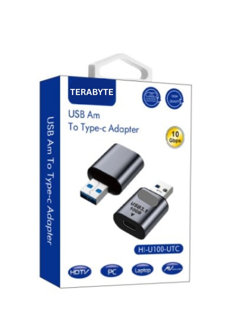 Terabyte محول USB من نوع A إلى Type-C - Image 1